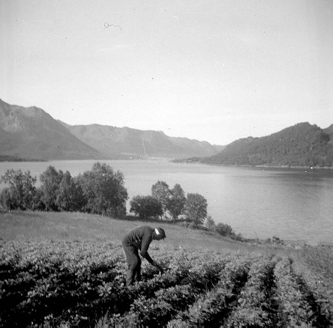  Han far i Våtvika