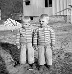 CW0486.jpg     Tvillingene  til Birgit og Hjalmar Karlsen, Neverdal.  ca. 1953.