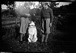 CW0646.jpg     Hans Julius og Bjarne Waatvik leker med hunden &quotPrins".  Bildet er tatt på Solstad.     ca.  1948.