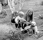 CW0077.jpg    I vogna  Knut Gunnar Korsnes                     med Karl Christian Waatvik på fanget, ved  siden                Anne Christine Korsnes med hunden Susi                           ca. 1968.