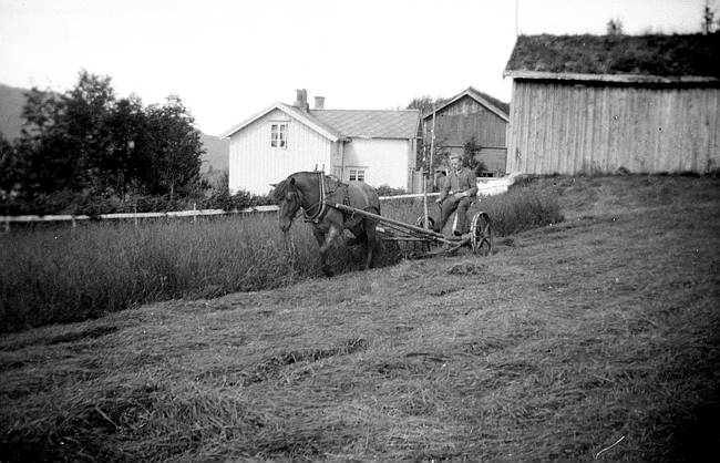 Slåttonn i Våtvika.