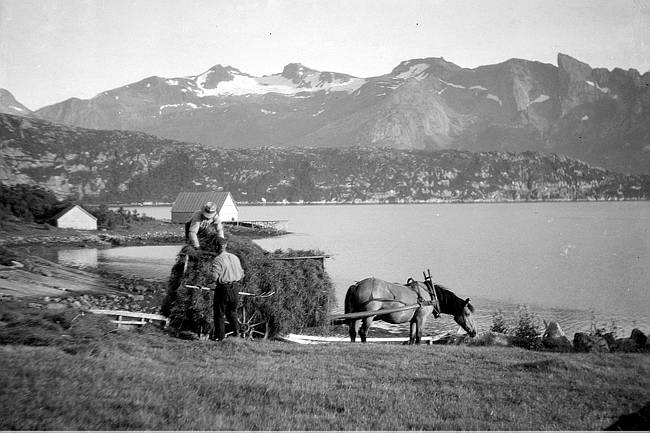 Høyonn i Våtvika.