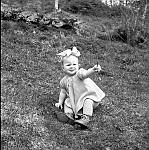 CW1640.jpg   Berit Hals ca. ett og et halvt år, i hagen på Solstad.  Sommeren 1954.
