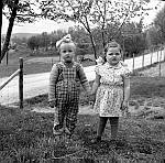 CW1643.jpg      .Unni Hals og (tante) Anita Waatvik i hagen på Solstad. Sommeren 1954