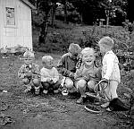 CW2054.jpg  På Solstad.sist på 1960-tallet. Fra v..Roger og Torstein Stormo, Frank Berntsen, Svanhild og Knut Gunnar Korsnes.