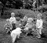 CW2055.jpg  På Solstad.sist på 1960-tallet.Fra v..Roger og Torstein Stormo, Frank Berntsen, Svanhild og Knut Gunnar Korsnes og  hunden &quotSusi".