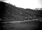 CW2455.jpg      En jernbjelke til Neverdalsbrua.    Bildet er tatt i Våtviksvingen.  Sist på 1920 tallet.
