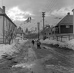 CW3531.jpg    Ungene i Nergata på Jæra.     ca. 1955.<br>