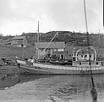 CW3535.jpg   Neverdal ungdomslag på tur med båt og buss nedover Helgeland,   ca. 1955.