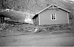 CW2870.jpg  Foran :  &quotSørgård-huset",   bak fra venstre &quotSvingen"  og  &quotMurgården".  År 1954.  (Alt dette er borte nå, under tunellmassen)   Synd for det var virkelig  idyllisk der nede i Dalen, Glomen.